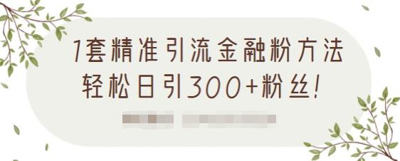 1套精准引流金融粉方法，轻松日引300+粉丝【视频课程】-菡洋资源网