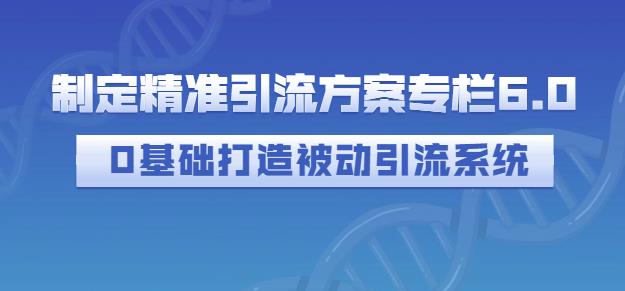 制定精准引流方案专栏6.0，0基础打造被动引流系统-菡洋资源网