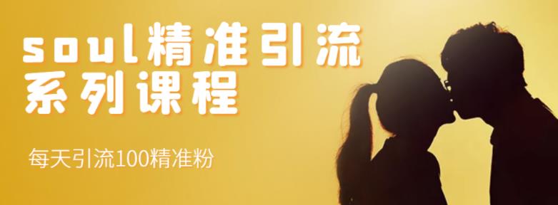 soul精准引流系列课程，每天引流100精准粉-菡洋资源网