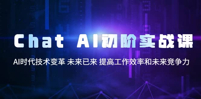 Chat AI初阶实战课，AI时代技术变革 未来已来 提高工作效率和未来竞争力-菡洋资源网