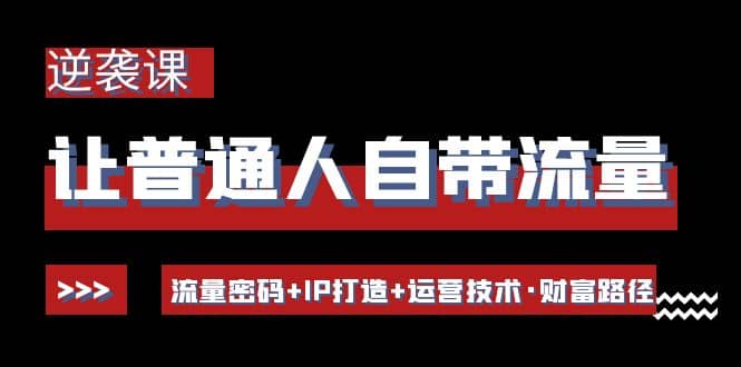 让普通人自带流量的逆袭课：流量密码+IP打造+运营技术·财富路径-菡洋资源网