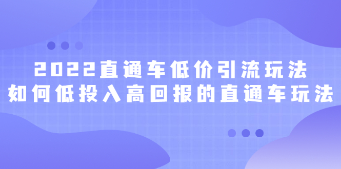 2022直通车低价引流玩法，教大家如何低投入高回报的直通车玩法-菡洋资源网