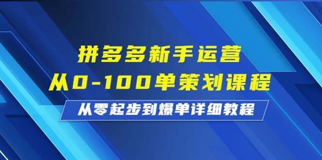 拼多多新手运营从0-100单策划课程，从零起步到爆单详细教程-菡洋资源网