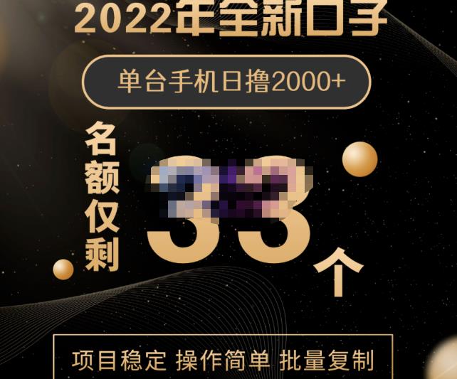 2022年全新口子，手机批量搬砖玩法，一部手机日撸2000+-菡洋资源网