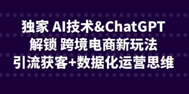 独家 AI技术ChatGPT解锁 跨境电商新玩法，引流获客+数据化运营思维-菡洋资源网