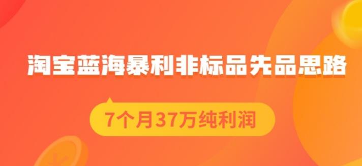 盗坤淘宝蓝海暴利非标品先品思路，7个月37万纯利润，压箱干货分享！【付费文章】-菡洋资源网