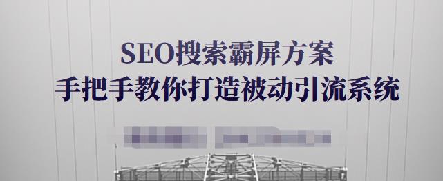 SEO搜索霸屏方案，手把手教你打造被动引流系统【视频课程】-菡洋资源网