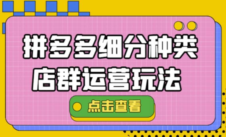 拼多多细分种类店群运营玩法3.0，11月最新玩法，小白也可以操作-菡洋资源网