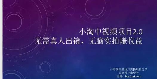 小淘项目组网赚永久会员，绝对是具有实操价值的，适合有项目做需要流程【持续更新】-菡洋资源网