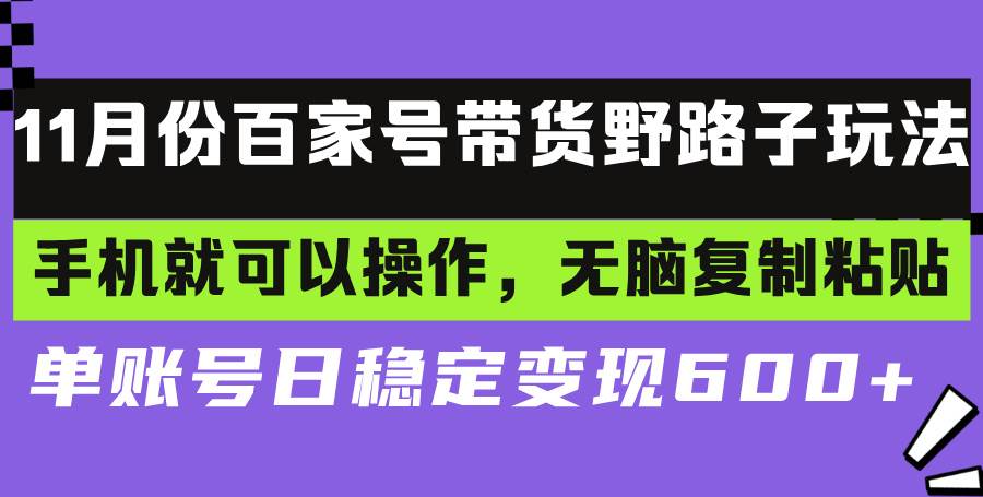 （13281期）百家号带货野路子玩法 手机就可以操作，无脑复制粘贴 单账号日稳定变现...-菡洋资源网
