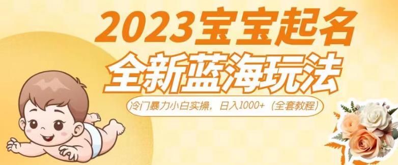 2023宝宝起名全新蓝海玩法，冷门暴力小白实操，日入1000+（全套教程）【揭秘】-菡洋资源网