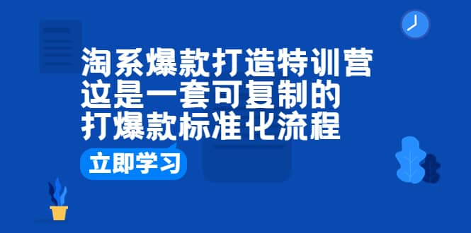 淘系爆款打造特训营：这是一套可复制的打爆款标准化流程-菡洋资源网