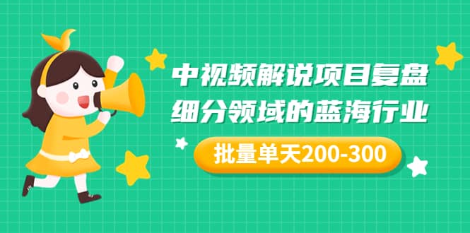 某付费文章：中视频解说项目复盘：细分领域的蓝海行业 批量单天200-300收益-菡洋资源网
