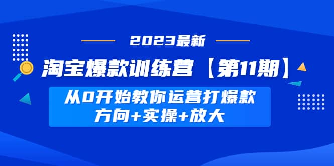 淘宝爆款训练营【第11期】 从0开始教你运营打爆款，方向+实操+放大-菡洋资源网