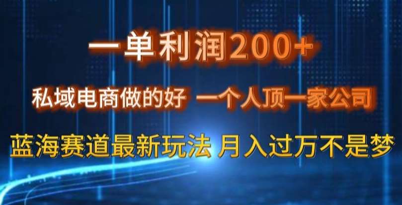 一单利润200私域电商做的好，一个人顶一家公司蓝海赛道最新玩法【揭秘】-菡洋资源网