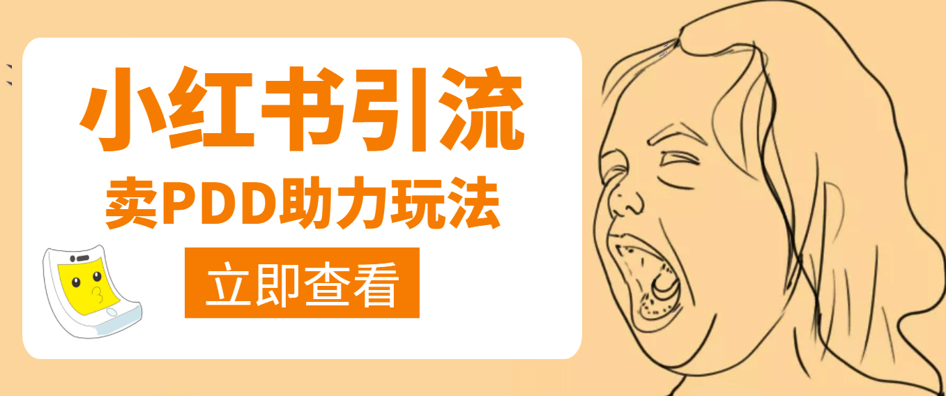 利用小红书卖拼多多助力-菡洋资源网