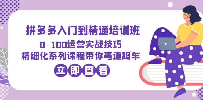 2023拼多多入门到精通培训班：0-100运营实战技巧 精细化系列课带你弯道超车-菡洋资源网