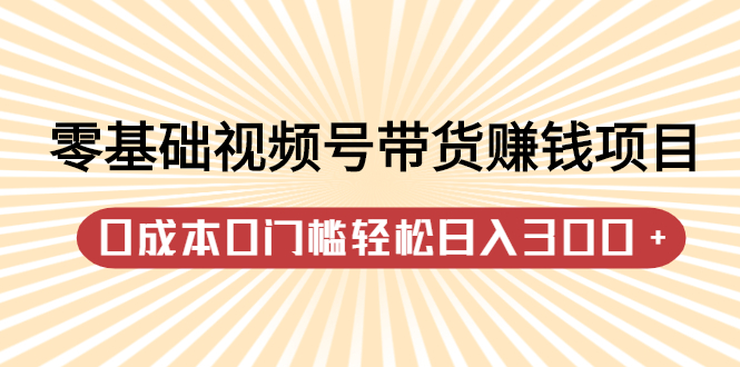 零基础视频号带货赚钱项目，0成本0门槛轻松日入300+【视频教程】-菡洋资源网