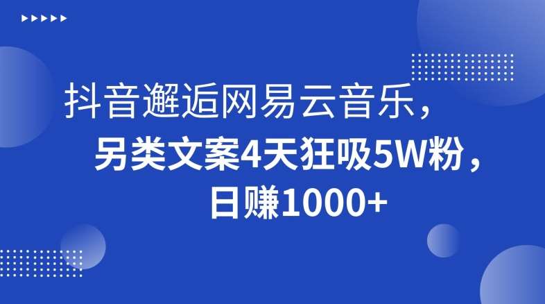 抖音邂逅网易云音乐，另类文案4天狂吸5W粉，日赚1000+【揭秘】-菡洋资源网