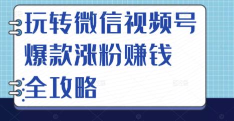 玩转微信视频号爆款涨粉赚钱全攻略，让你快速抓住流量风口，收获红利财富-菡洋资源网