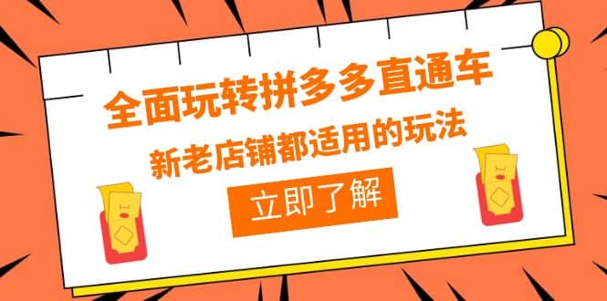 全面玩转拼多多直通车，新老店铺都适用的玩法（12节精华课）-菡洋资源网