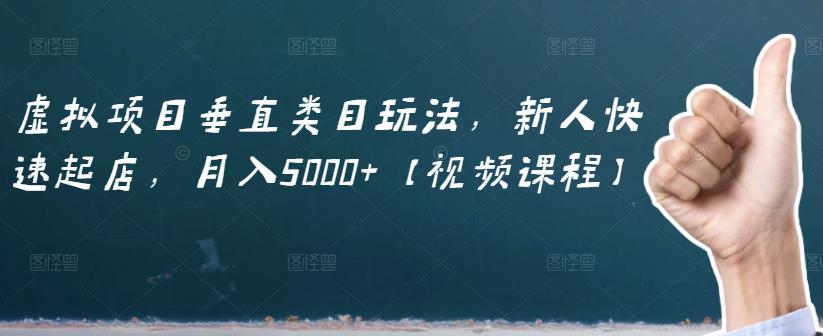 虚拟项目垂直类目玩法，新人快速起店，月入5000+【视频课程】-菡洋资源网