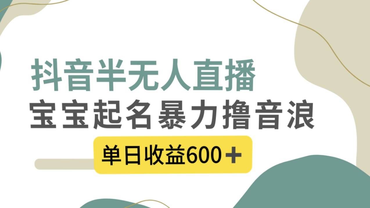 （8192期）抖音半无人直播，宝宝起名，暴力撸音浪，单日收益600+-菡洋资源网