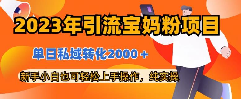 2023年引流宝妈粉项目，单日私域转化2000＋，新手小白也可轻松上手操作，纯实操-菡洋资源网