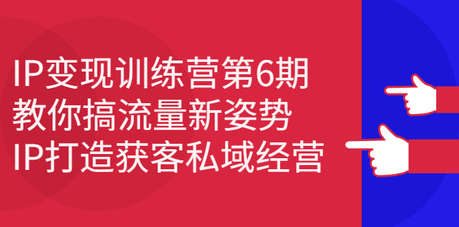 IP变现训练营第6期：教你搞流量新姿势，IP打造获客私域经营-菡洋资源网