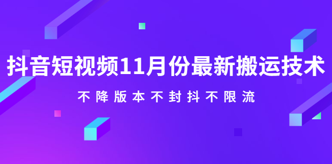 抖音短视频11月份最新搬运技术，不降版本不封抖不限流！【视频课程】-菡洋资源网
