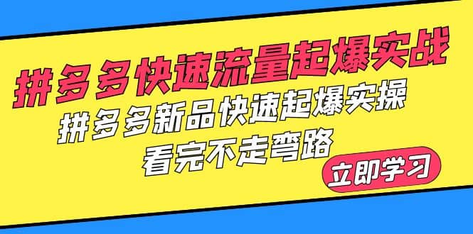 拼多多-快速流量起爆实战，拼多多新品快速起爆实操，看完不走弯路-菡洋资源网