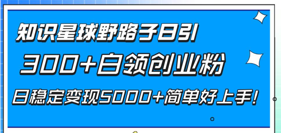 （8315期）知识星球野路子日引300+白领创业粉，日稳定变现5000+简单好上手！-菡洋资源网