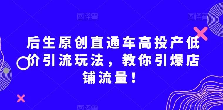 后生原创直通车高投产低价引流玩法，教你引爆店铺流量！-菡洋资源网