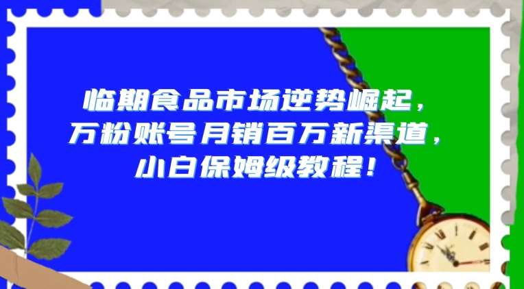 临期食品市场逆势崛起，万粉账号月销百万新渠道，小白保姆级教程【揭秘】-菡洋资源网