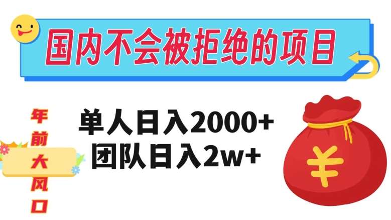 在国内不怕被拒绝的项目，单人日入2000，团队日入20000+【揭秘】-菡洋资源网
