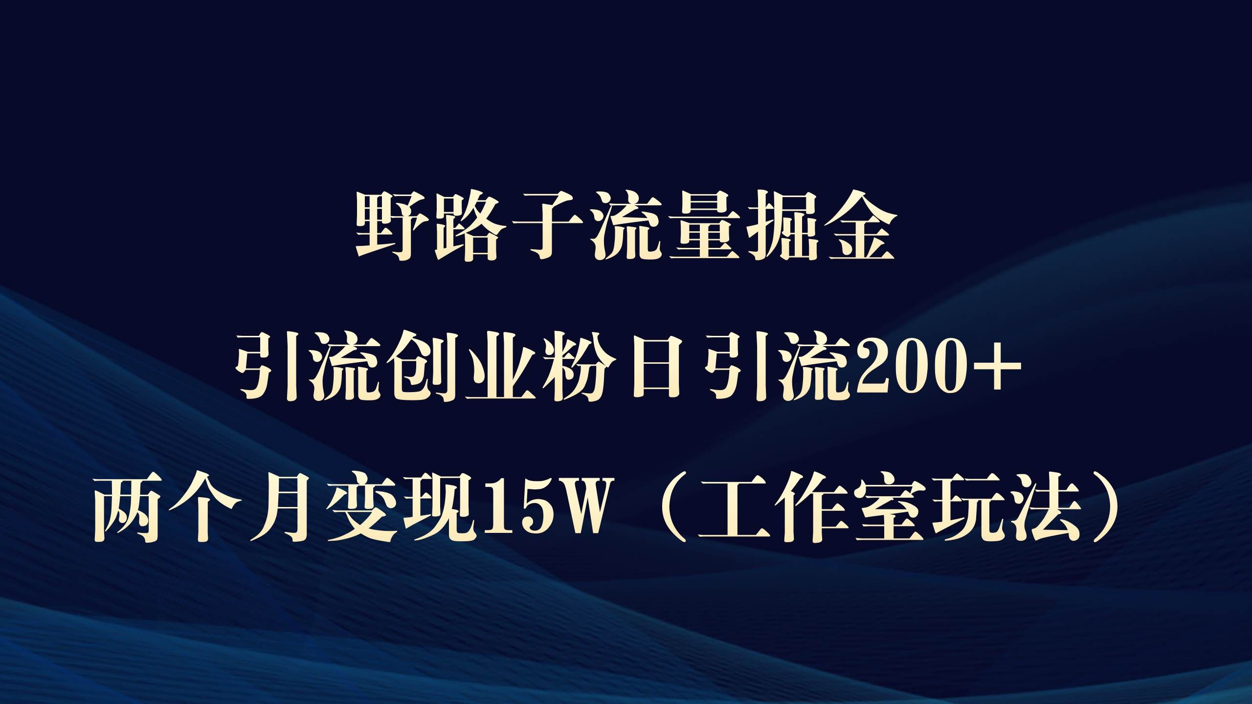 （9513期）野路子流量掘金，引流创业粉日引流200+，两个月变现15W（工作室玩法））-菡洋资源网