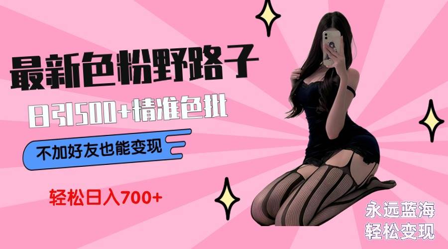 （9119期）最新色粉变现野路子，日引500+老色批 可不加好友直接变现 小白轻松日入700+-菡洋资源网