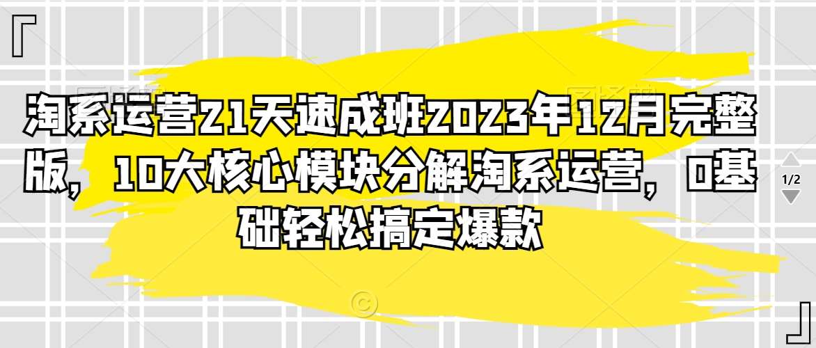 淘系运营21天速成班2023年12月完整版，10大核心模块分解淘系运营，0基础轻松搞定爆款-菡洋资源网