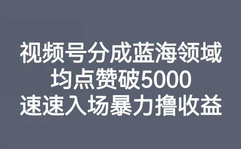 视频号分成蓝海领域，均点赞破5000，速速入场暴力撸收益-菡洋资源网