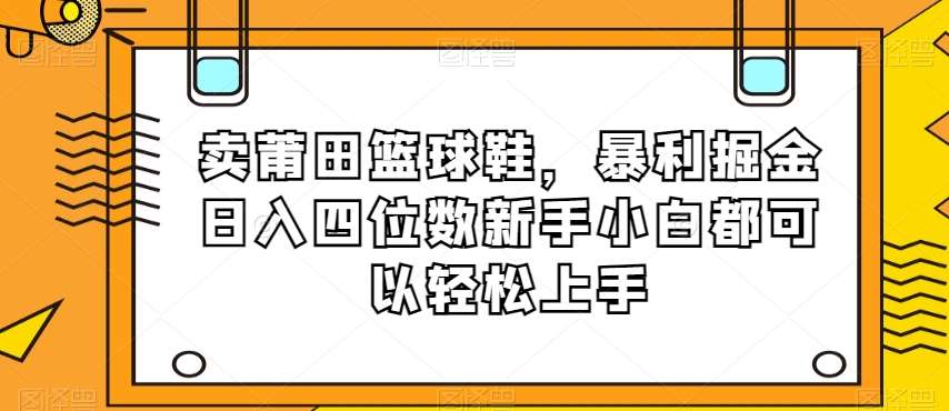 卖莆田篮球鞋，暴利掘金日入四位数新手小白都可以轻松上手【揭秘】-菡洋资源网