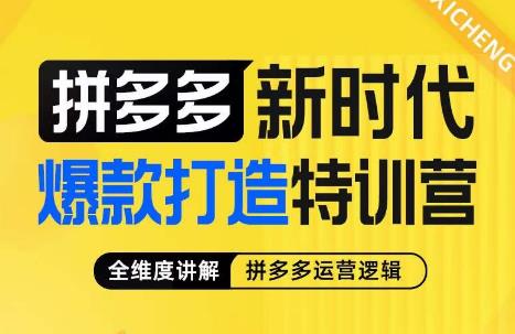 玺承·拼多多新时代爆款打造特训营，全维度讲解拼多多运营逻辑-菡洋资源网