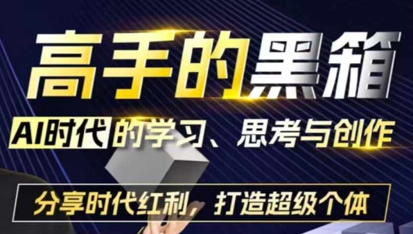 高手的黑箱：AI时代学习、思考与创作-分红时代红利，打造超级个体-菡洋资源网