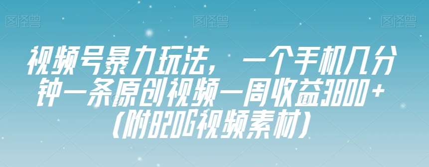 视频号暴力玩法，一个手机几分钟一条原创视频一周收益3800+（附820G视频素材）-菡洋资源网