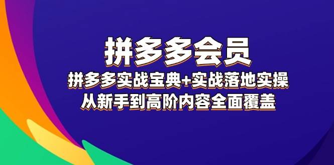 拼多多 会员,拼多多实战宝典+实战落地实操,从新手到高阶内容全面覆盖-菡洋资源网