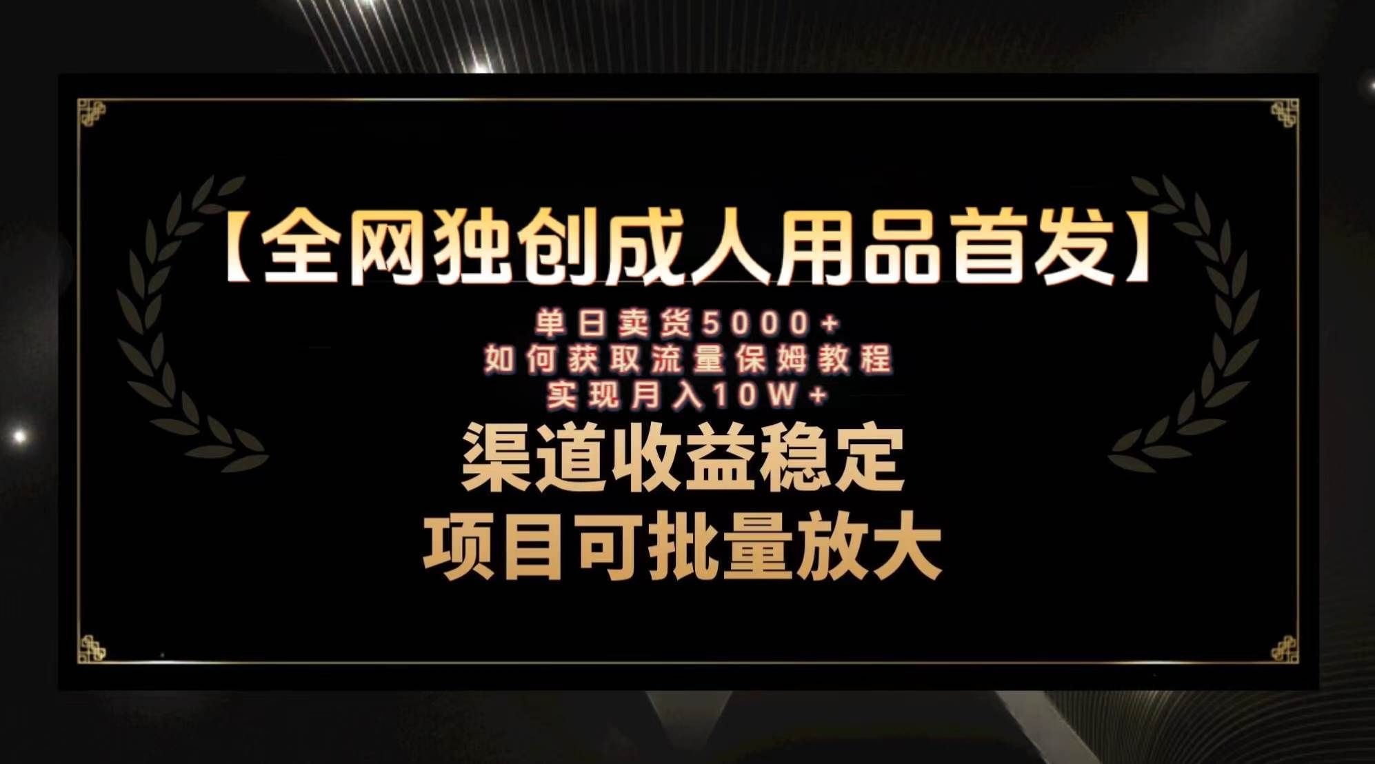 （8128期）最新全网独创首发，成人用品赛道引流获客，月入10w保姆级教程-菡洋资源网