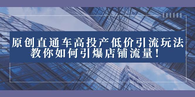 2023直通车高投产低价引流玩法，教你如何引爆店铺流量！-菡洋资源网