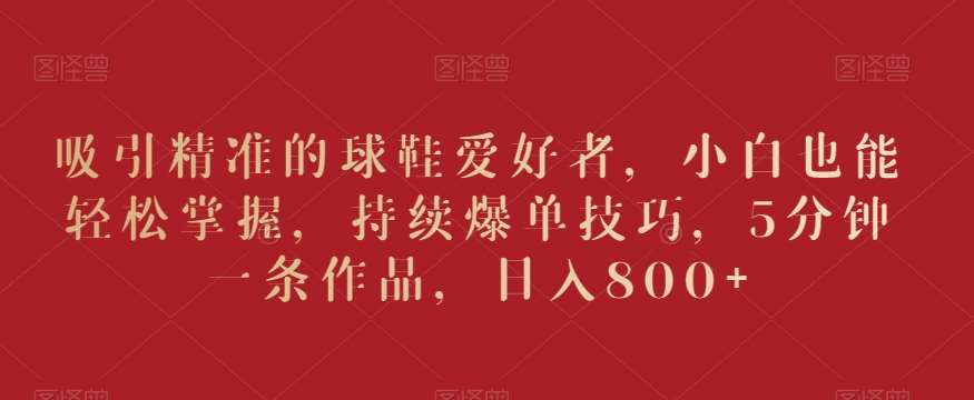 吸引精准的球鞋爱好者，小白也能轻松掌握，持续爆单技巧，5分钟一条作品，日入800+【揭秘】-菡洋资源网