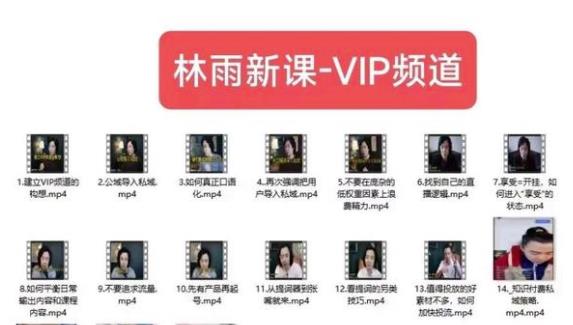 林雨新课VIP频道，玩赚私域/朋友圈/社群-菡洋资源网