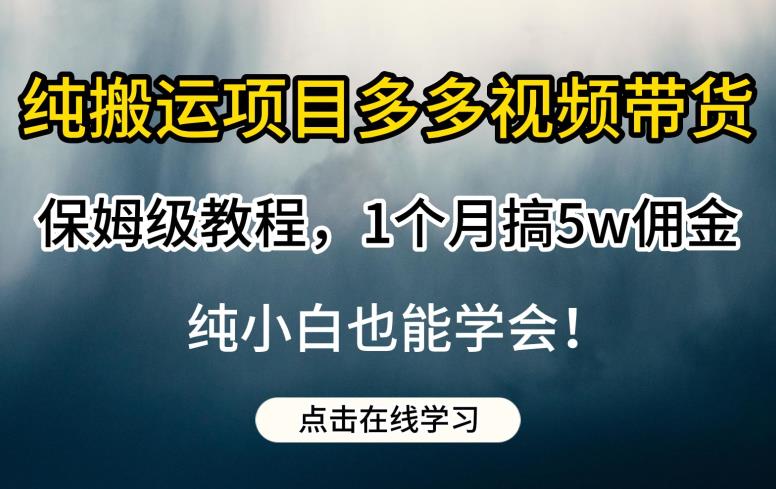 纯搬运项目多多视频带货保姆级教程，1个月搞5w佣金，纯小白也能学会【揭秘】-菡洋资源网