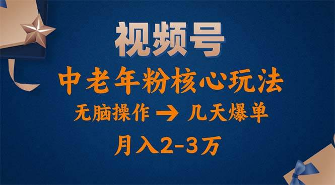 （11288期）视频号火爆玩法，高端中老年粉核心打法，无脑操作，一天十分钟，月入两万-菡洋资源网